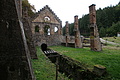 DSC08782 - Bernhard Saalfeld