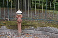 DSC08807 - Bernhard Saalfeld