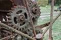 DSC08822 - Bernhard Saalfeld