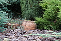 DSC08823 - Bernhard Saalfeld