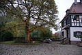 DSC06344 - Bernhard Saalfeld