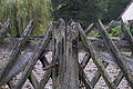 DSC06345 - Bernhard Saalfeld