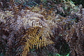 DSC06348 - Bernhard Saalfeld