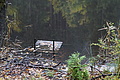 DSC06349 - Bernhard Saalfeld