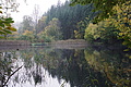 DSC06350 - Bernhard Saalfeld