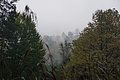 DSC06351 - Bernhard Saalfeld