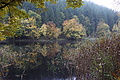 DSC06352 - Bernhard Saalfeld