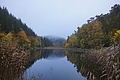 DSC06354 - Bernhard Saalfeld