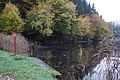 DSC06355 - Bernhard Saalfeld