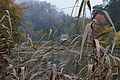DSC06361 - Bernhard Saalfeld