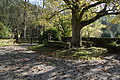 DSC06373 - Bernhard Saalfeld