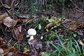 DSC06376 - Bernhard Saalfeld