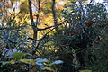 DSC06378 - Bernhard Saalfeld