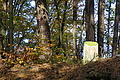DSC06380 - Bernhard Saalfeld