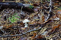 DSC06382 - Bernhard Saalfeld