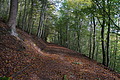 DSC06387 - Bernhard Saalfeld