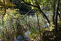 DSC06388 - Bernhard Saalfeld