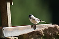 DSC06392 - Bernhard Saalfeld