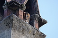 DSC06396 - Bernhard Saalfeld