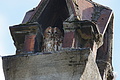DSC06405 - Bernhard Saalfeld