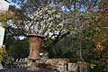 DSC06411 - Bernhard Saalfeld