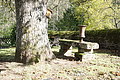 DSC06412 - Bernhard Saalfeld