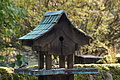 DSC06414 - Bernhard Saalfeld
