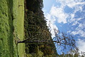 DSC06416 - Bernhard Saalfeld