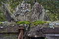 DSC06417 - Bernhard Saalfeld
