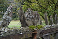 DSC06418 - Bernhard Saalfeld