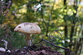 DSC06420 - Bernhard Saalfeld