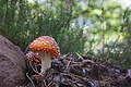 DSC06421 - Bernhard Saalfeld