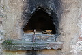 DSC06424 - Bernhard Saalfeld
