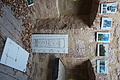 DSC06432 - Bernhard Saalfeld