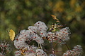 DSC06442 - Bernhard Saalfeld