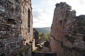 DSC06444 - Bernhard Saalfeld