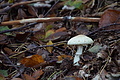 DSC06455 - Bernhard Saalfeld