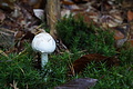 DSC06456 - Bernhard Saalfeld