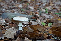 DSC06457 - Bernhard Saalfeld