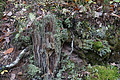 DSC06458 - Bernhard Saalfeld