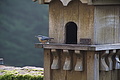 DSC06467 - Bernhard Saalfeld