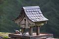 DSC06470 - Bernhard Saalfeld