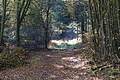 DSC06480 - Bernhard Saalfeld