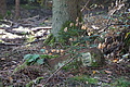 DSC06481 - Bernhard Saalfeld