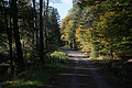 DSC06484 - Bernhard Saalfeld