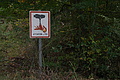 DSC06485 - Bernhard Saalfeld