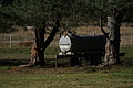 DSC06492 - Bernhard Saalfeld