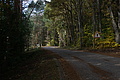 DSC06493 - Bernhard Saalfeld