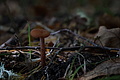 DSC06494 - Bernhard Saalfeld