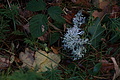 DSC06496 - Bernhard Saalfeld